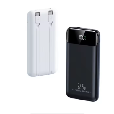 2 in 1  Portable Charger