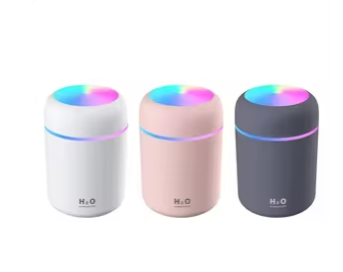 Portable Electric Humidifier