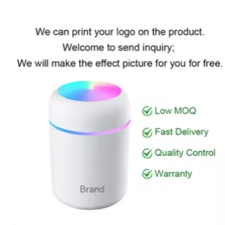 Portable Electric Humidifier