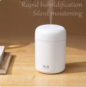 Portable Electric Humidifier